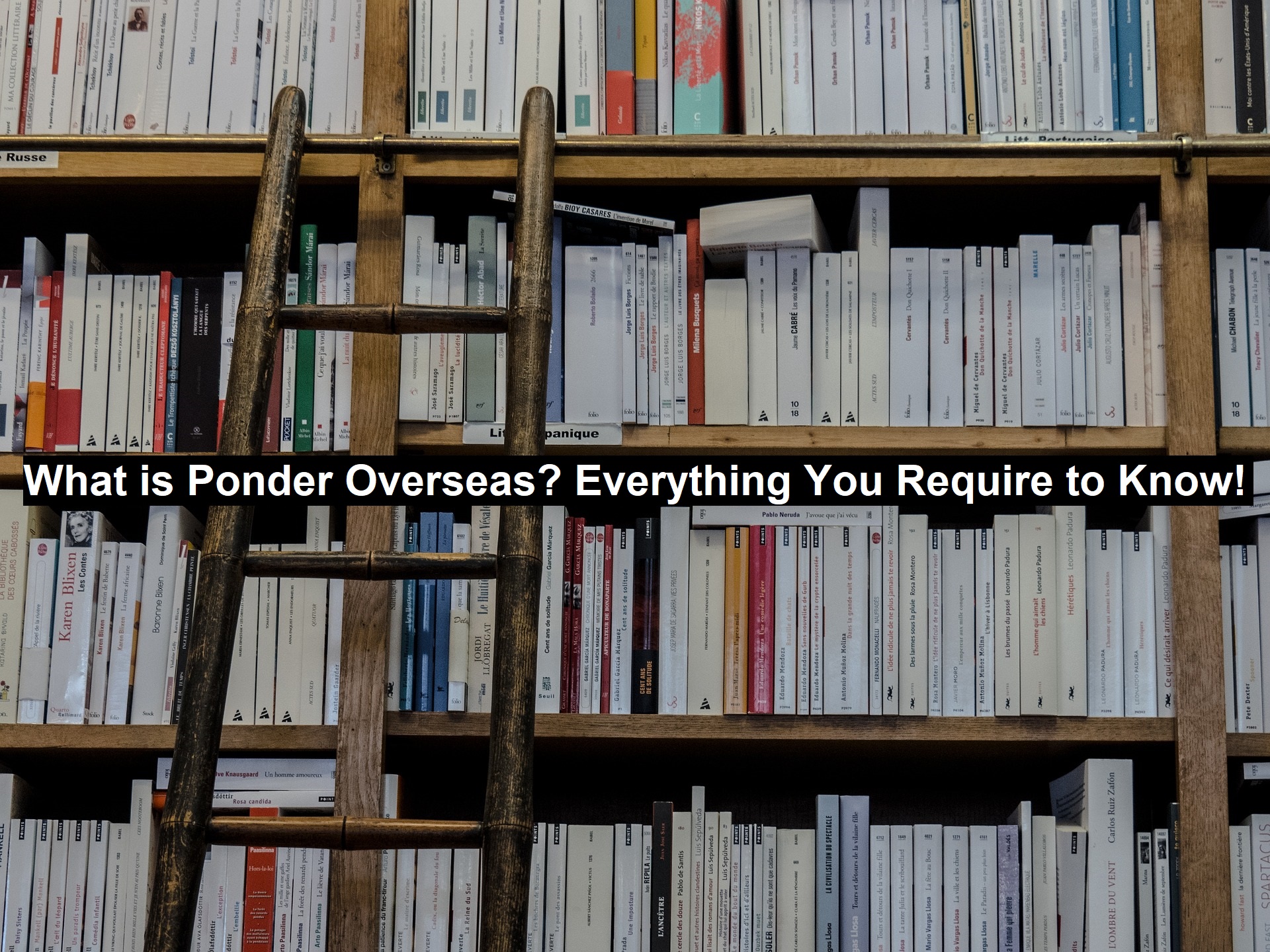 What is Ponder Overseas? Everything You Require to Know!
